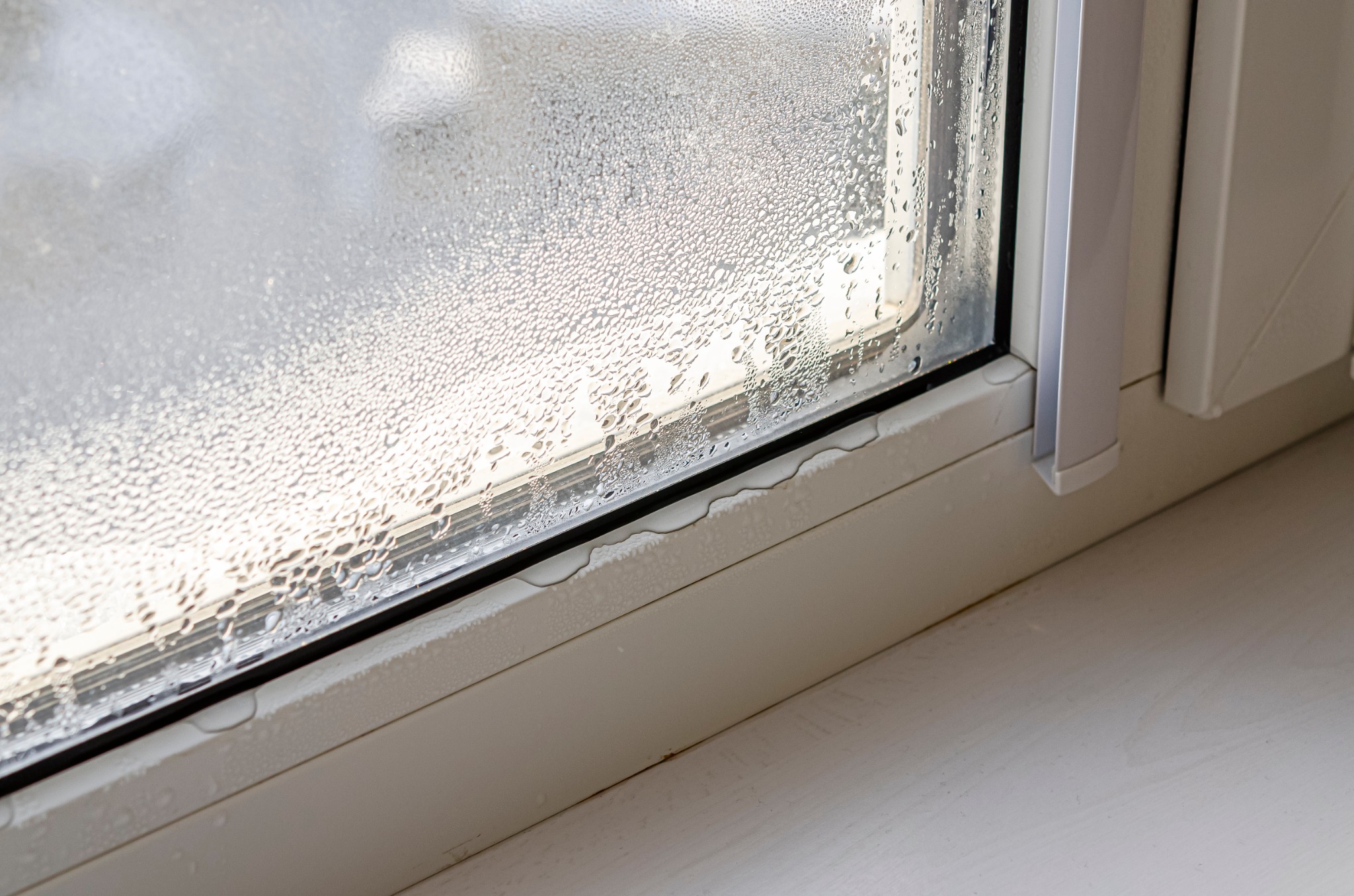 Condensation between window panes